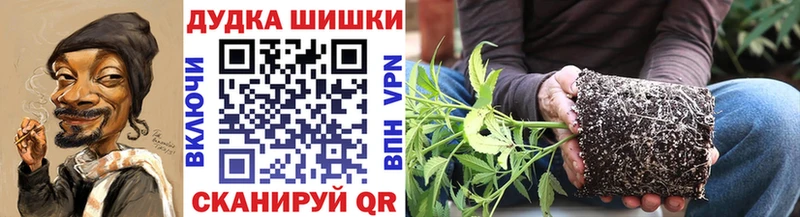 сколько стоит Волчанск Каннабис семена